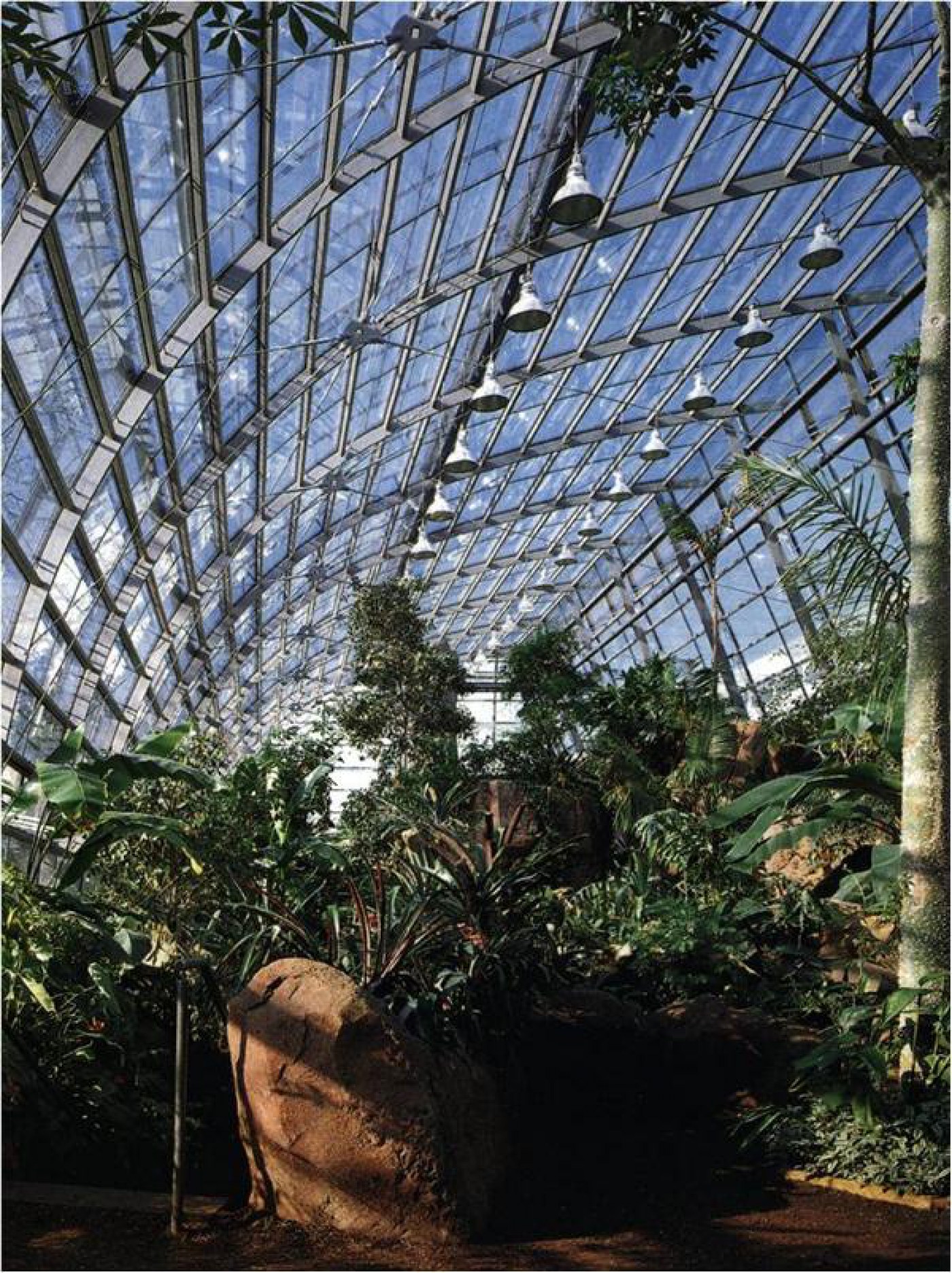 Amazonienhaus – Bild 5