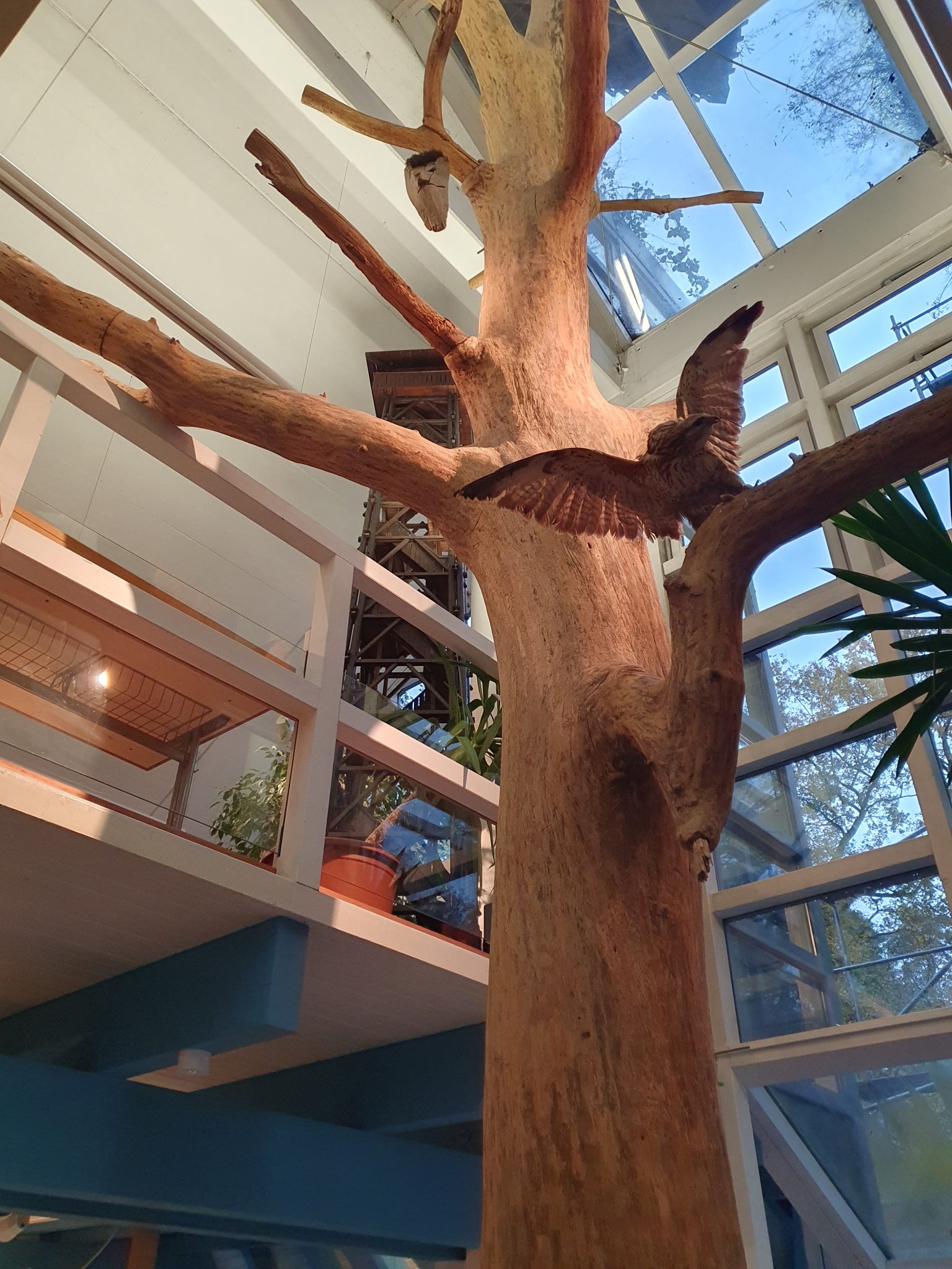 Informationszentrum StadtWaldHaus & Fasanerie – Bild 2