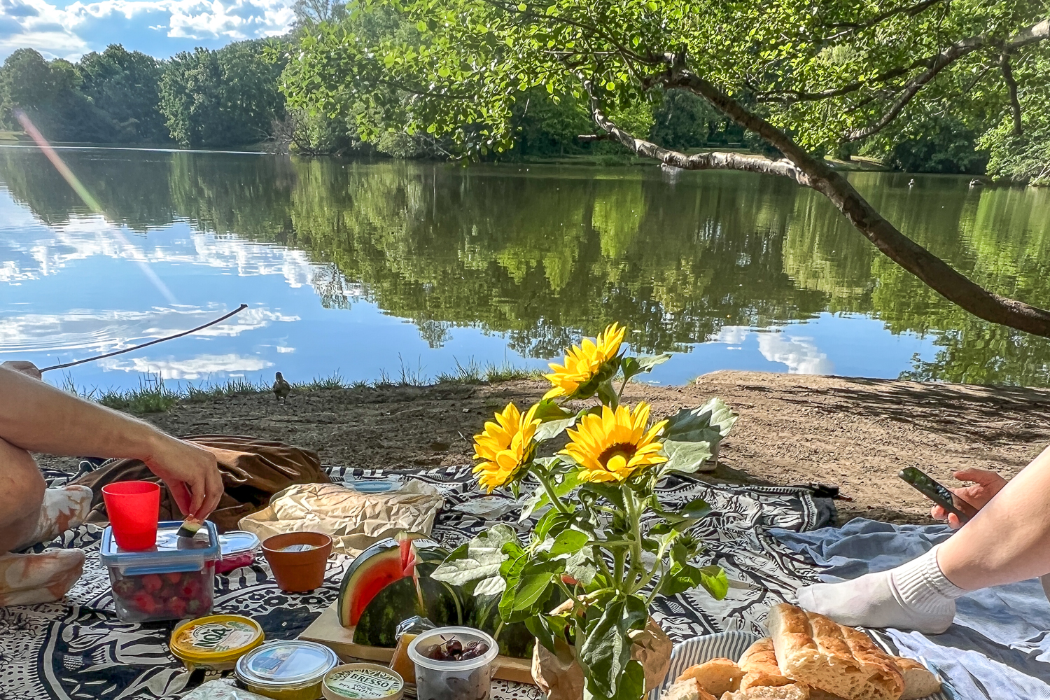 Wassermannpark – Bild 3