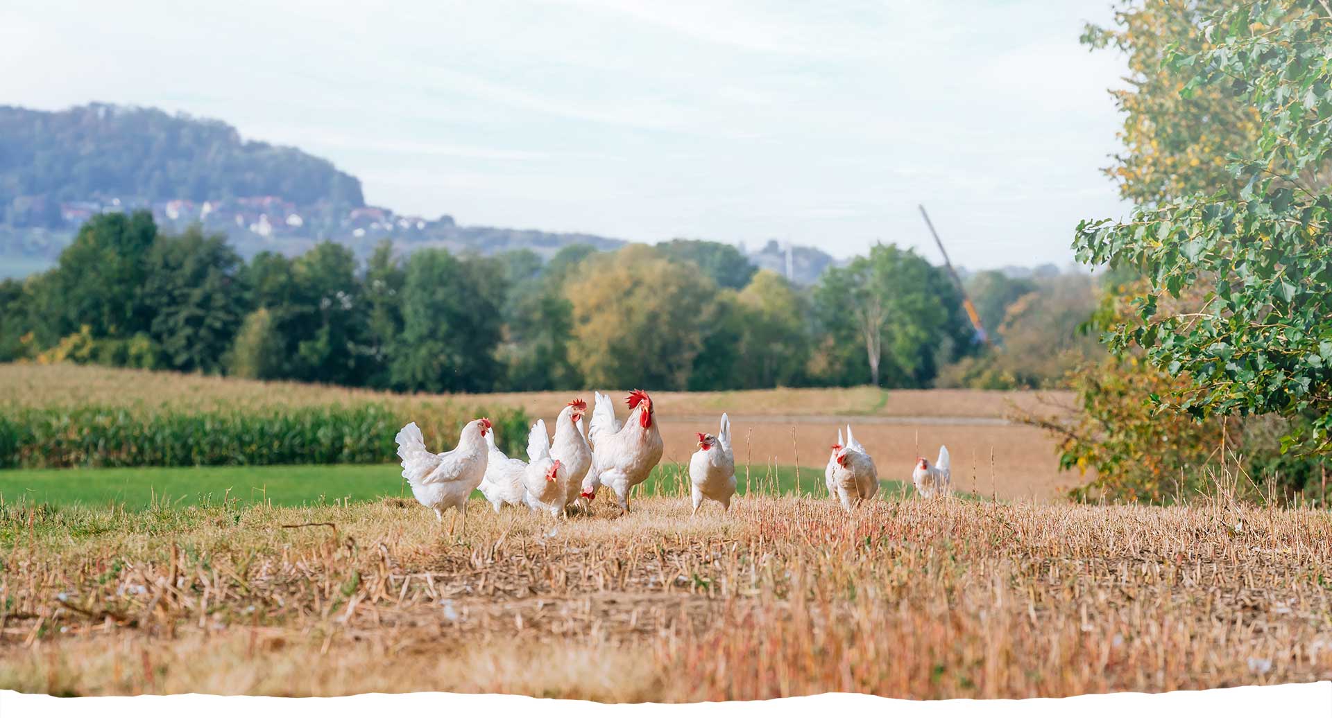 Hagenauer Hof KG - Familie Ehmann – Bild 3