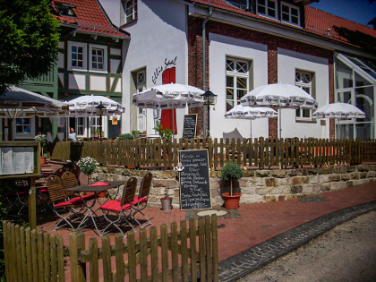 Die Linde – Bild 6