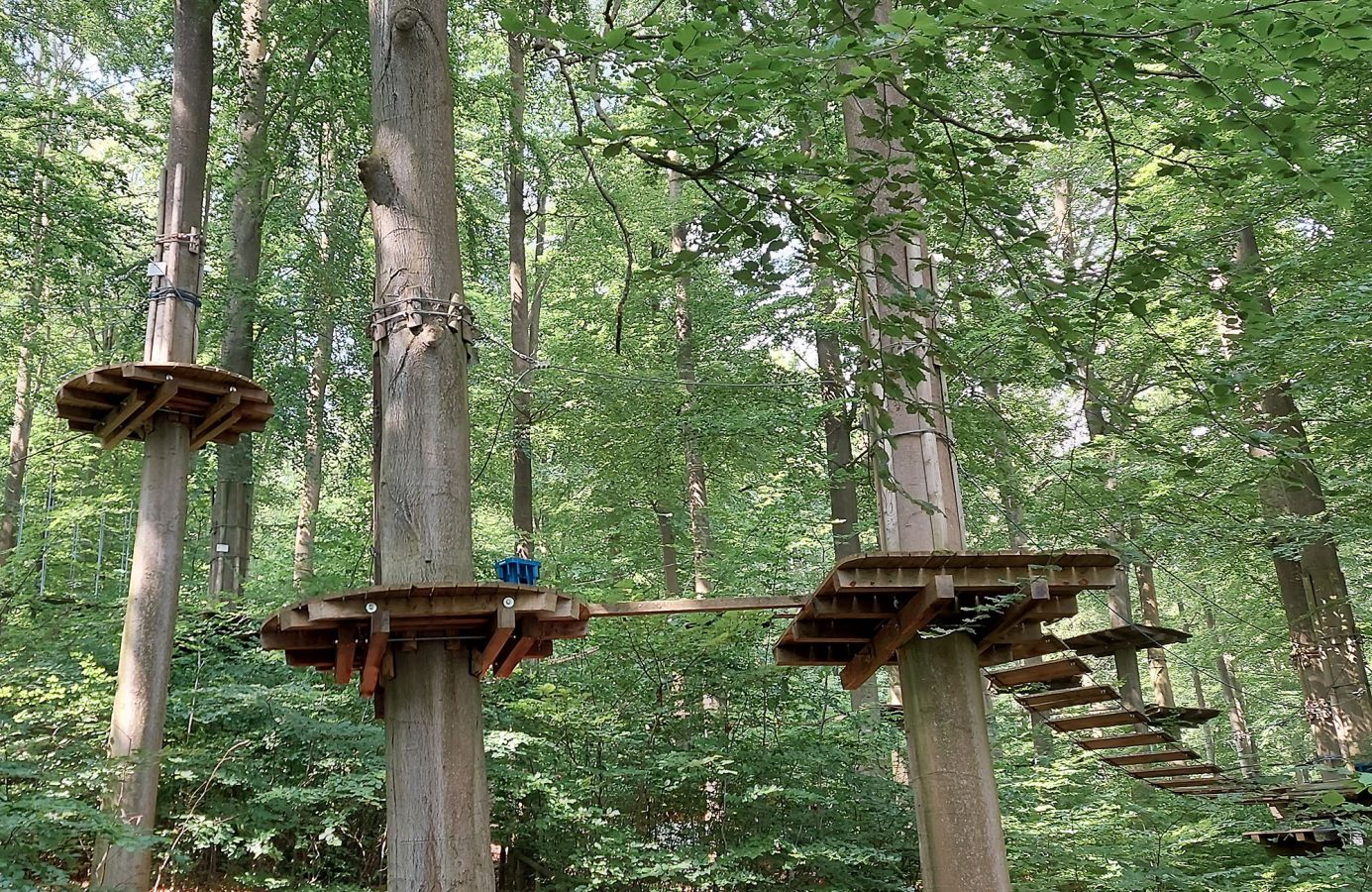 Kletterwald am Edersee – Bild 3