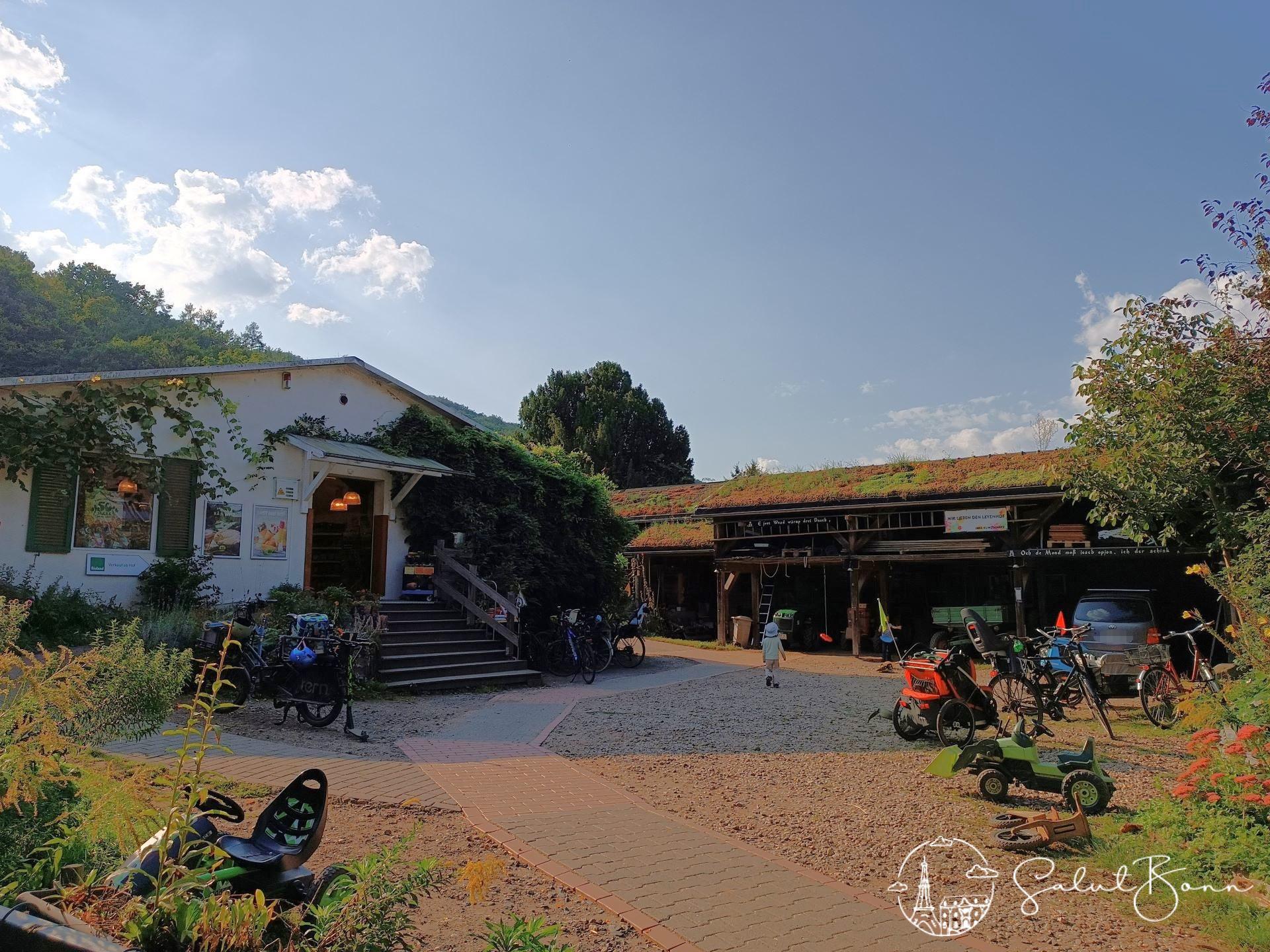 Der Leyenhof – Bild 3