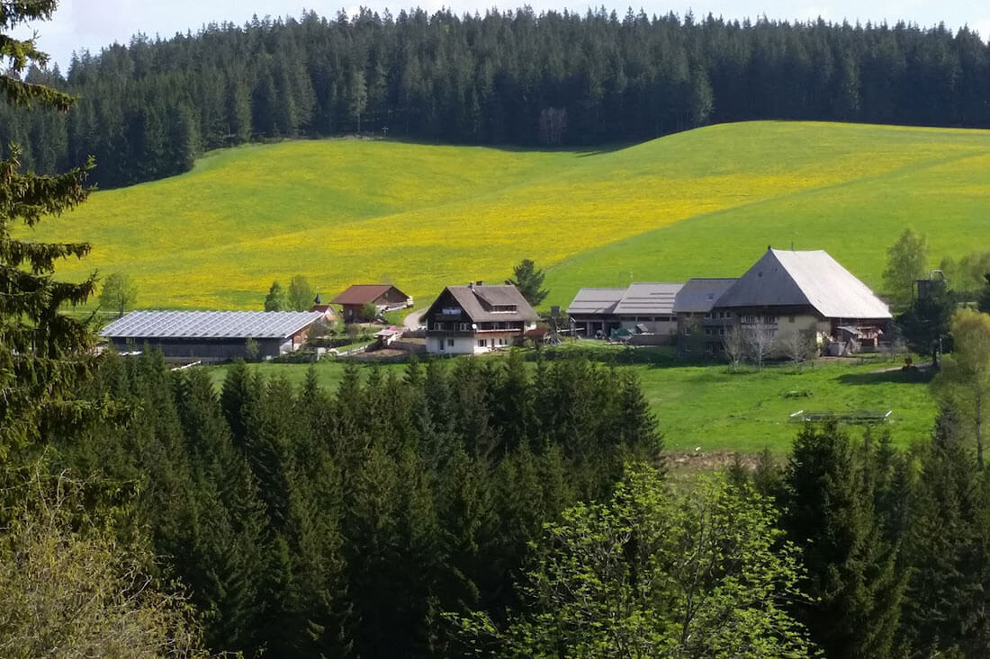 Farnbauernhof – Bild 4