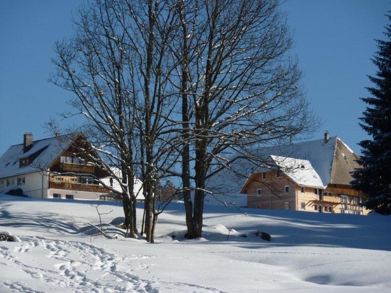 Farnbauernhof – Bild 6