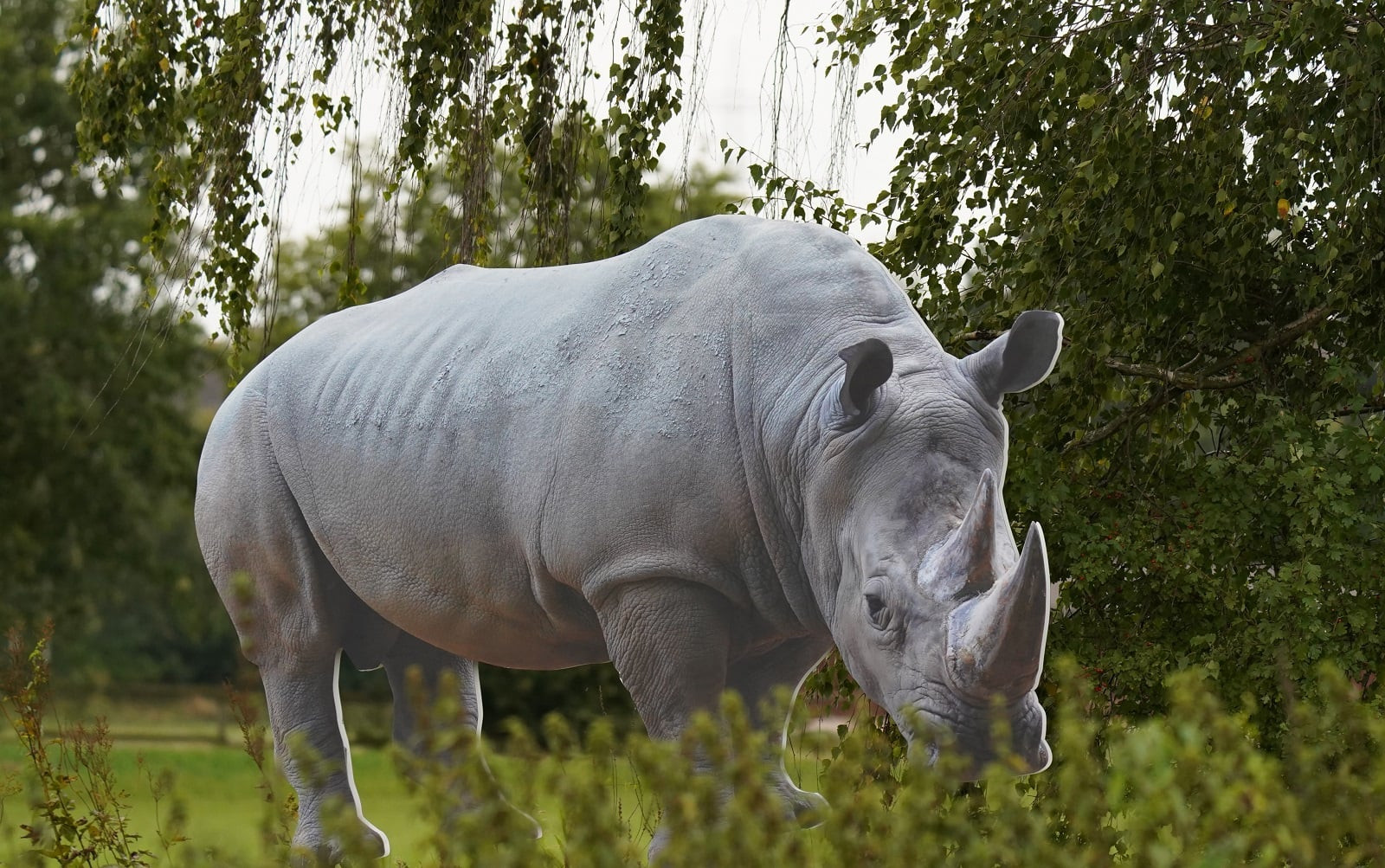 Schwalm statt Safari - Lern- und Freizeitangebot – Bild 5