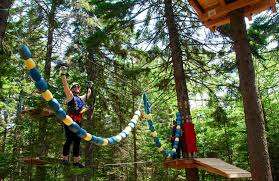 TimberTop Adventures – Bild 1