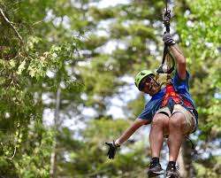 TimberTop Adventures – Bild 2