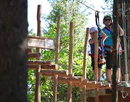 TimberTop Adventures – Bild 3