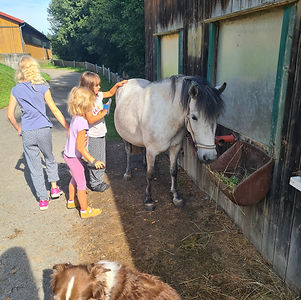 Lissys Ponyhof – Bild 2