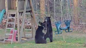 Canniff Mill Playground – Bild 2