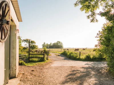 Ferienhof Groth - Birgit Groth – Bild 5