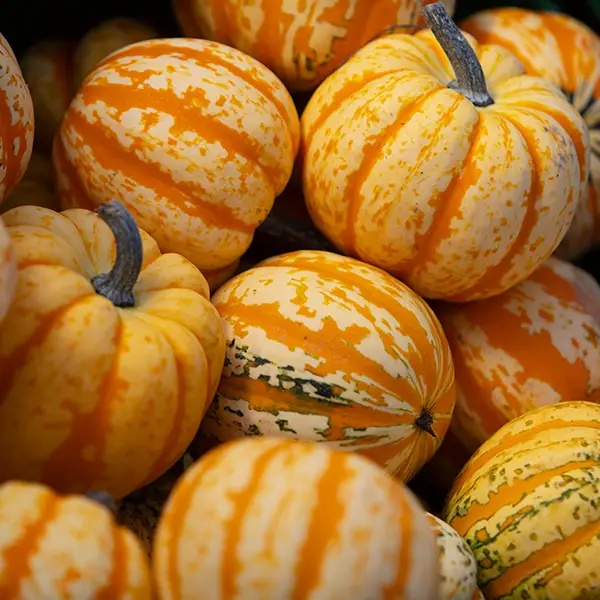 Sackerhof – Bild 2