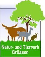 Natur- und Tierpark Brüggen – Bild 2