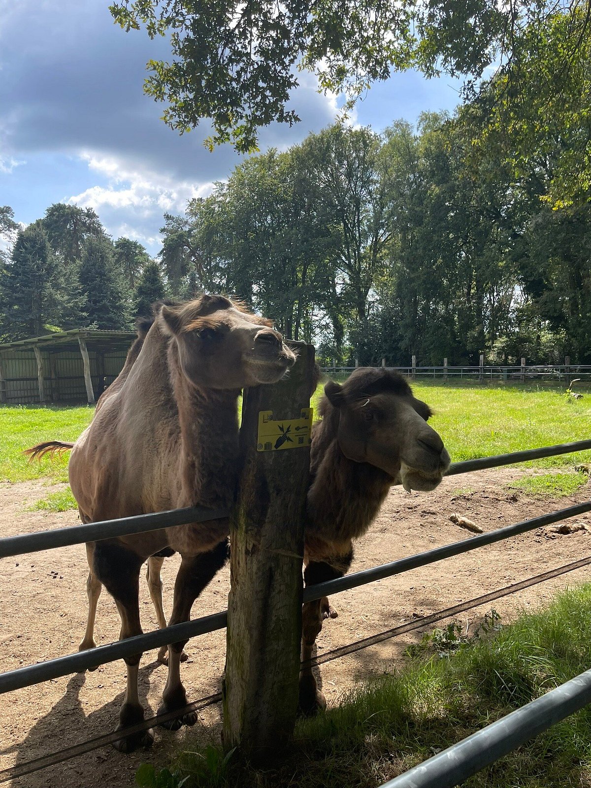Natur- und Tierpark Brüggen – Bild 4