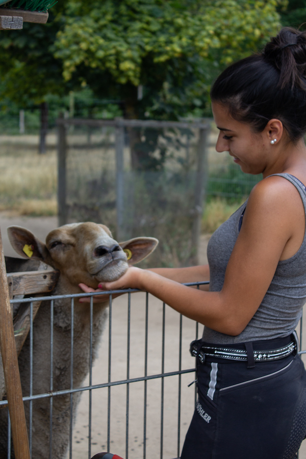 Kinder- und Jugendfarm – Bild 6