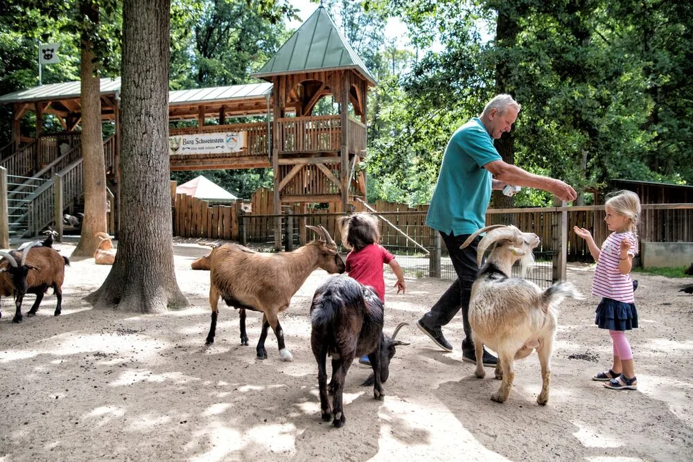 Wildpark an den Eichen – Bild 2