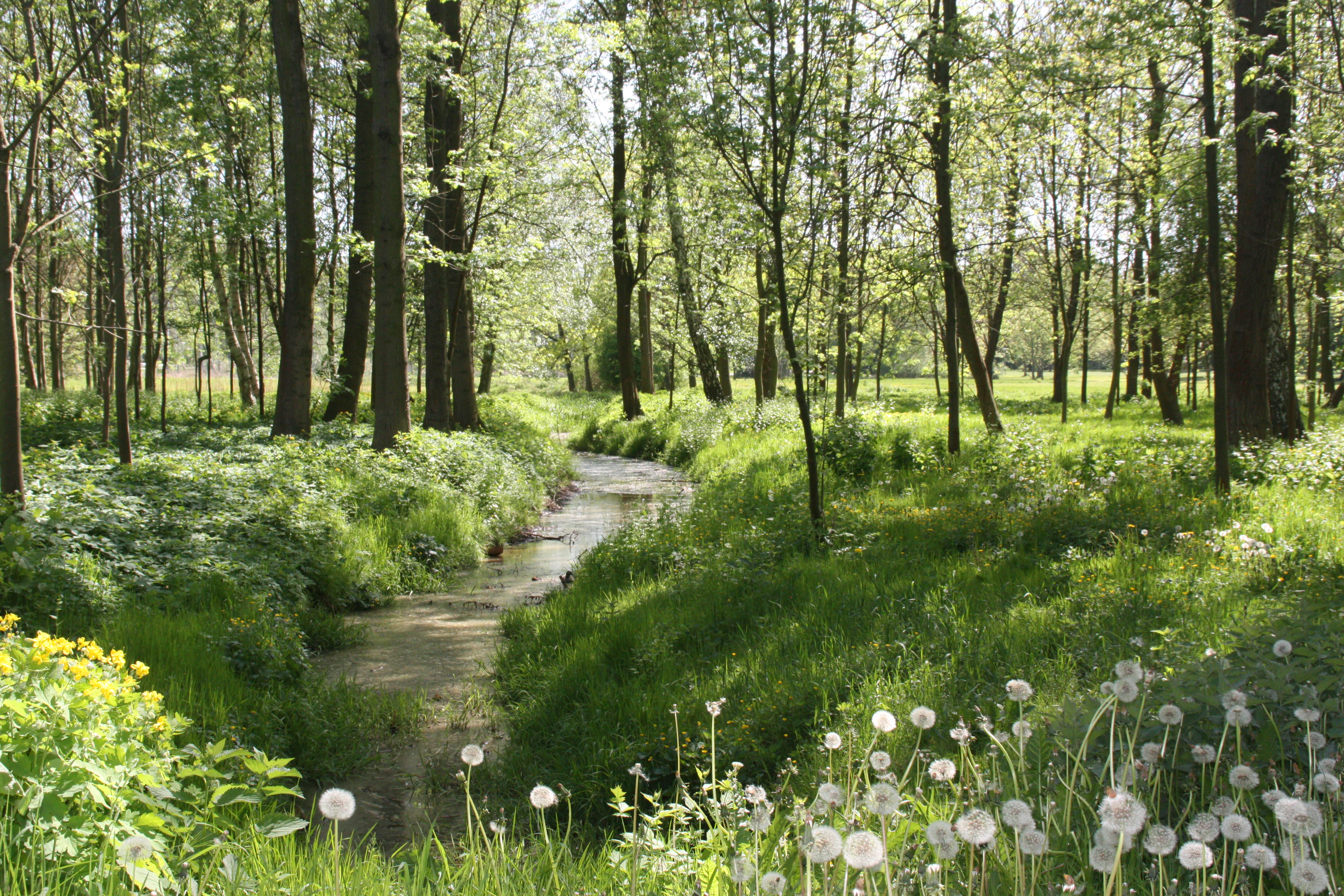 Kulturpark Neubrandenburg – Bild 2