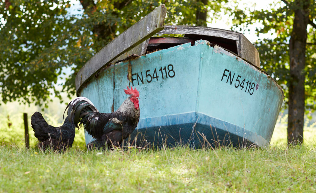 Aktivitätsspielplatz Reutlingen e.V. – Bild 5