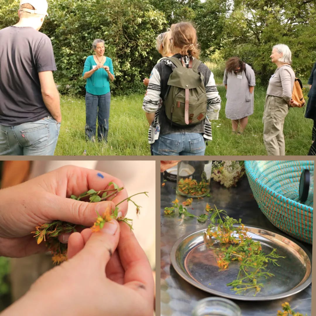 Wahrsmannshof – Bild 4