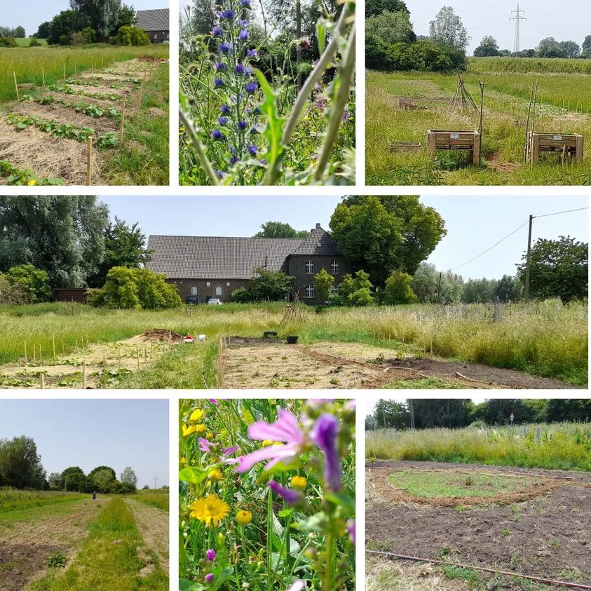 Wahrsmannshof – Bild 6