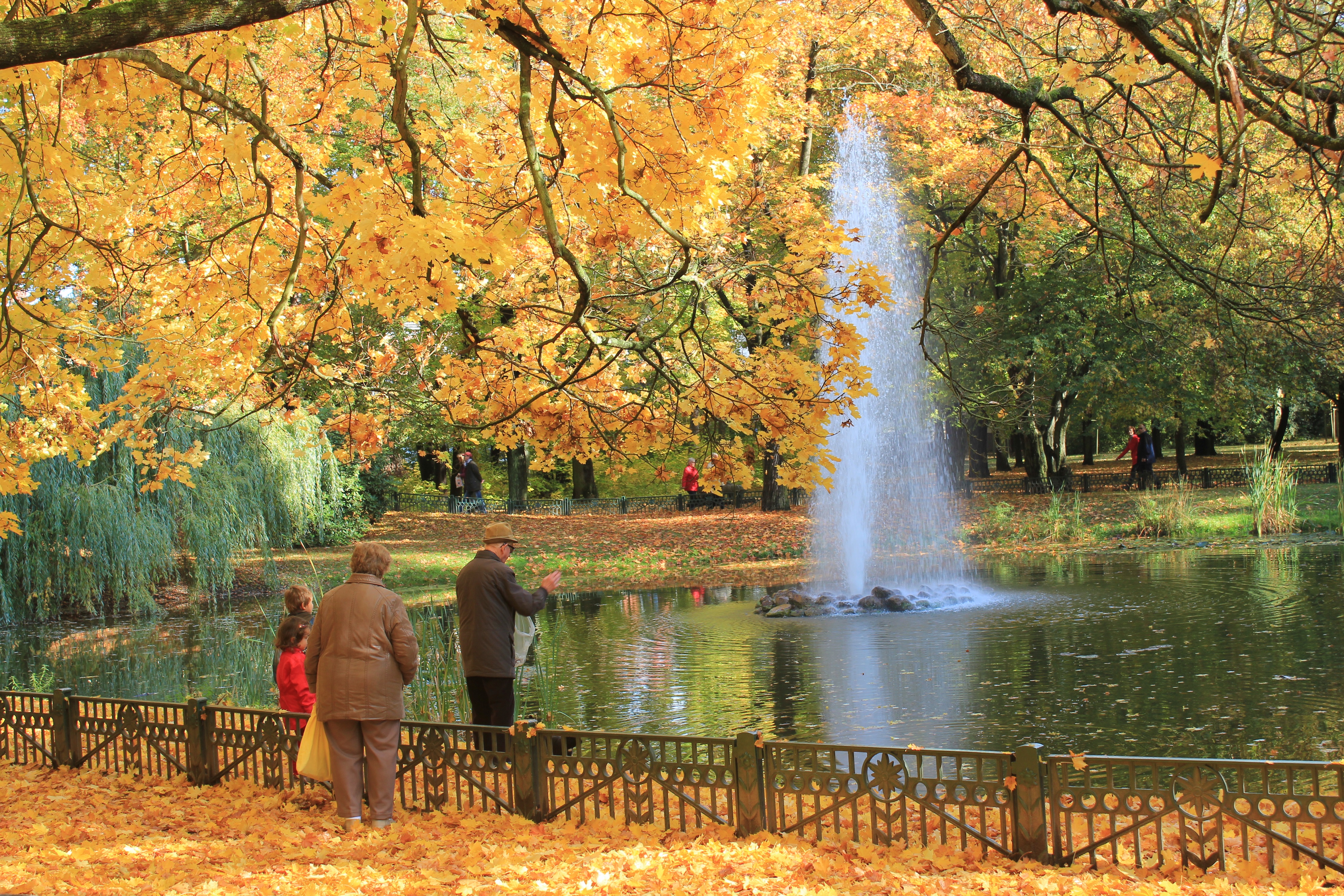 Stadtpark Wurzen – Bild 3