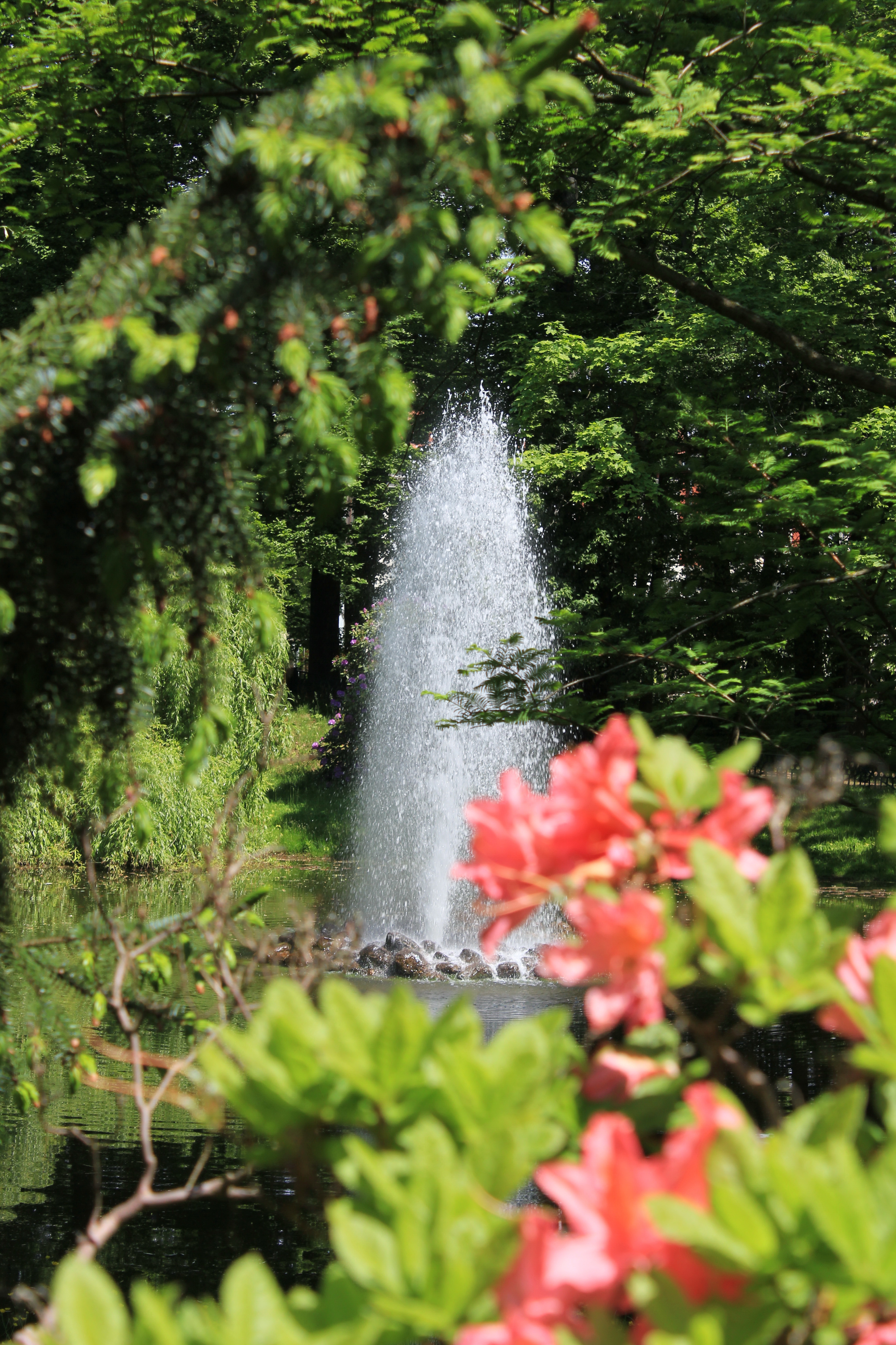 Stadtpark Wurzen – Bild 4