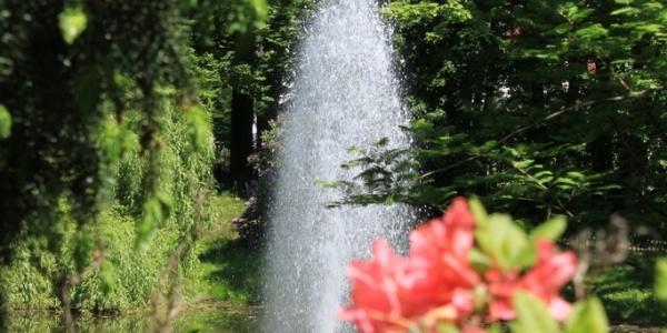 Stadtpark Wurzen – Bild 6