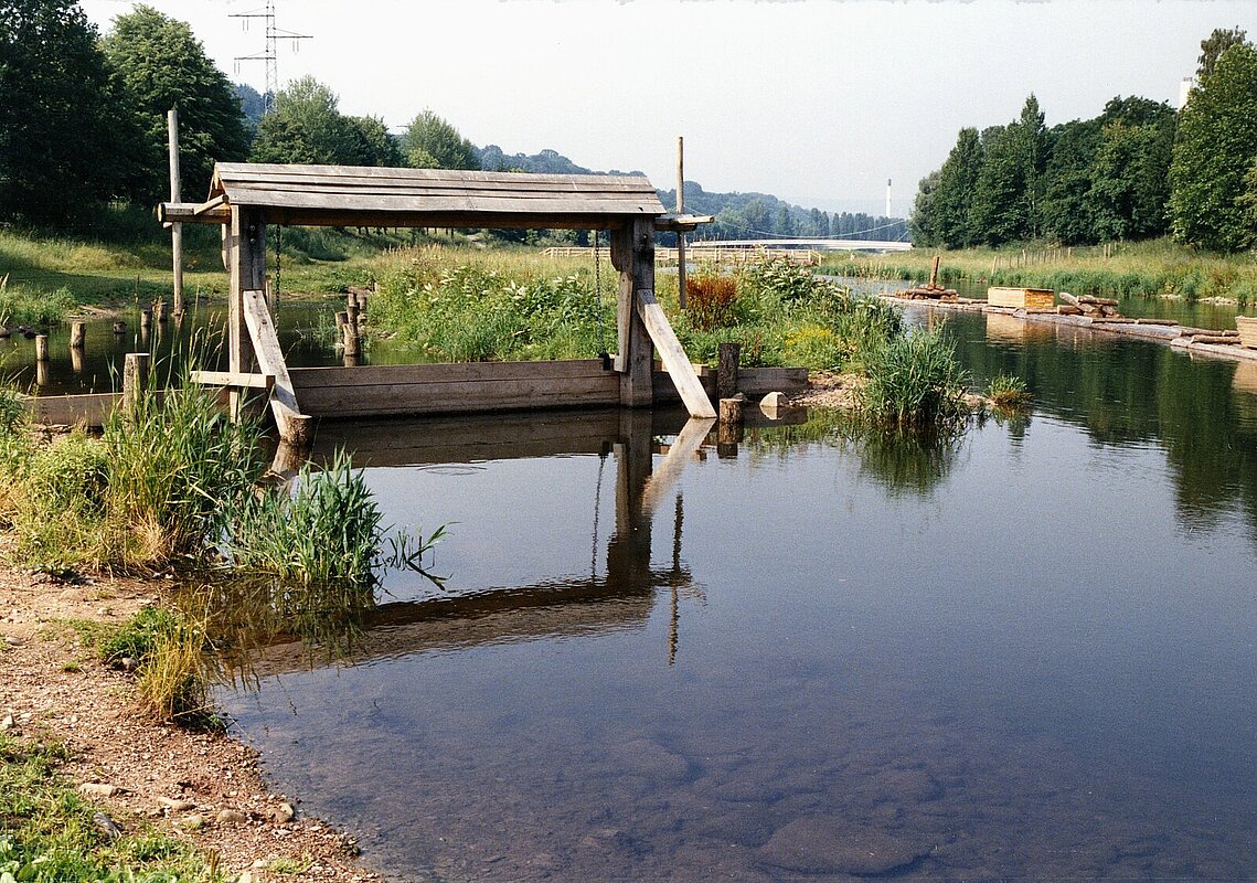 Enzauenpark – Bild 5