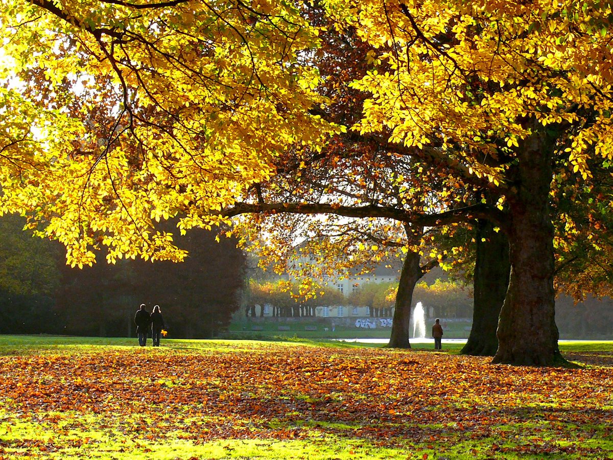 Schönwasserpark – Bild 2