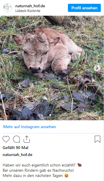 Naturnah-Hof – Bild 4