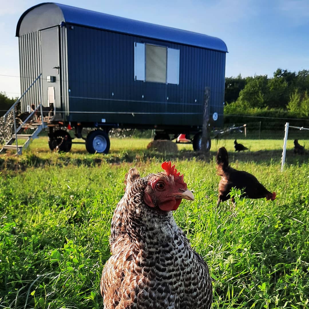 Naturnah-Hof – Bild 5