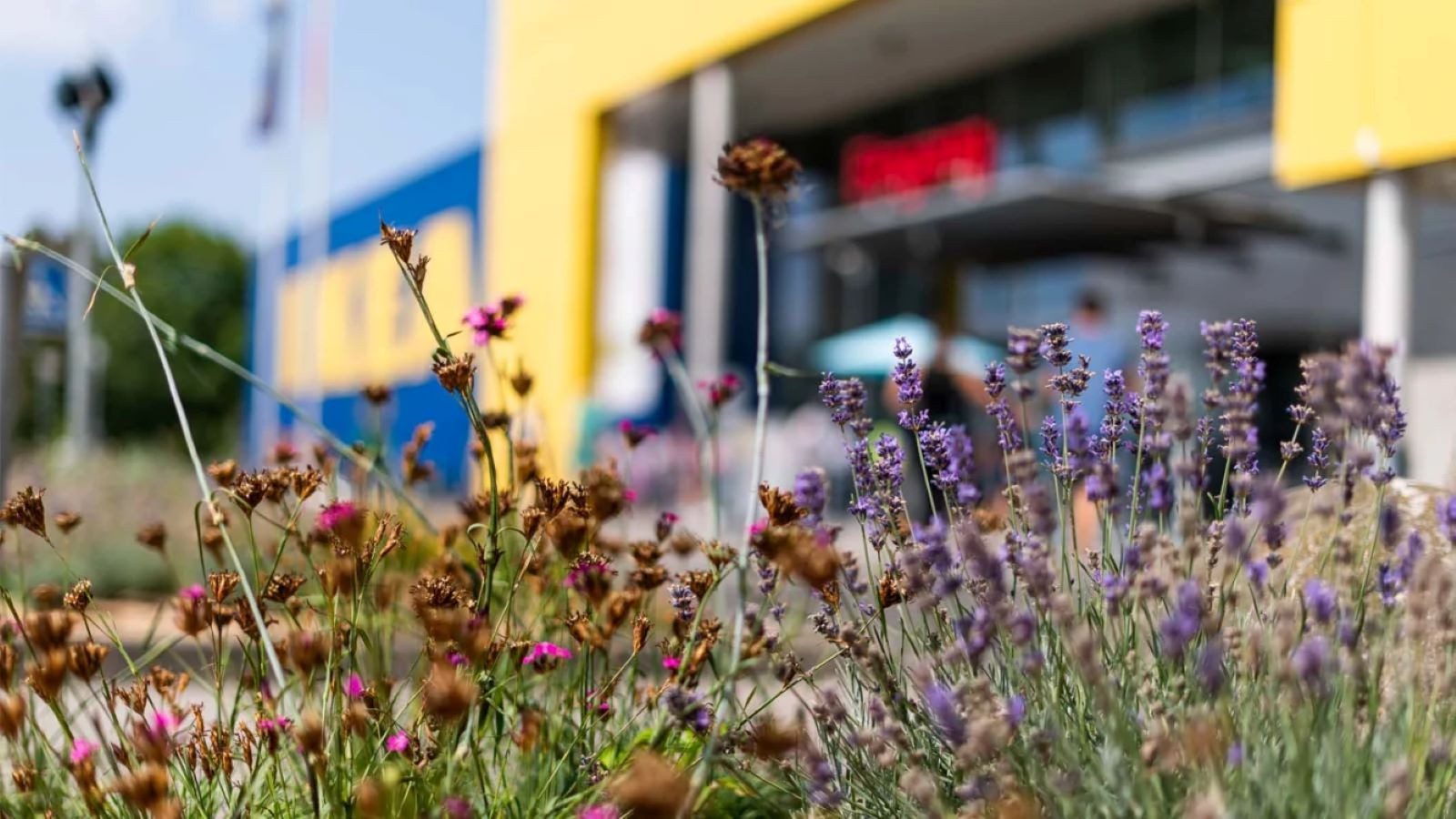 IKEA Mannheim – Bild 4