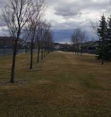 Oatway Family Park – Bild 5