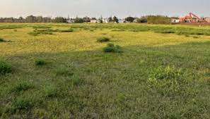 Oatway Family Park – Bild 6