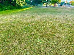 Victory Park – Bild 5