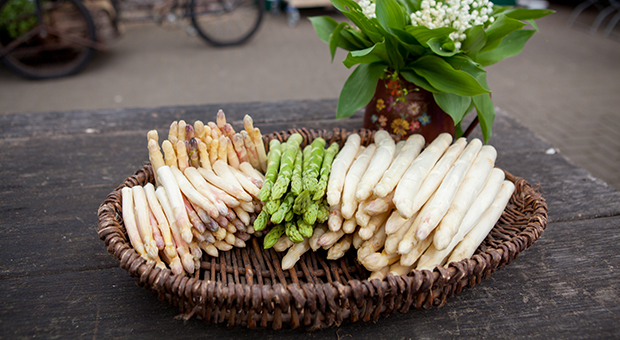 Spargel-Hof Lövenich – Bild 4