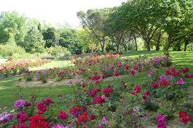 Rose Gardens Park – Bild 4