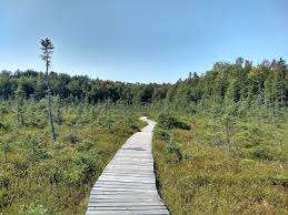 Rose Gardens Park – Bild 5