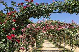 Rose Gardens Park – Bild 6