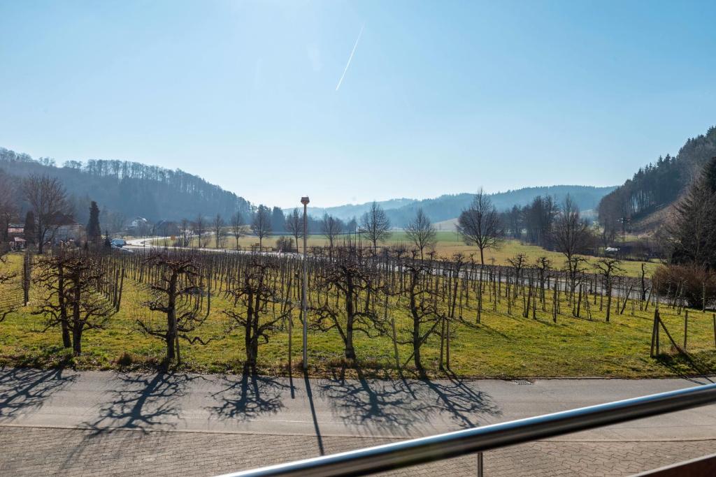 Obstgut mit Herz - Thomas Maier – Bild 4