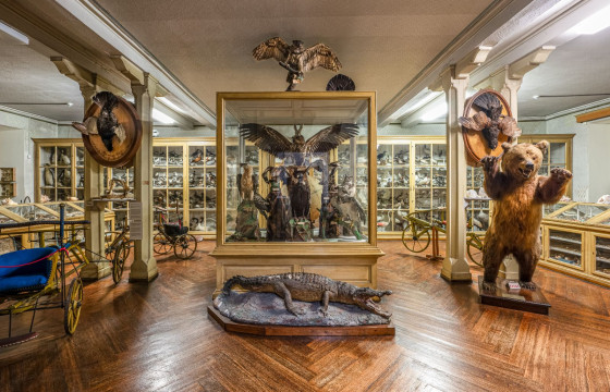 Kinder- und Jugendmuseum Donaueschingen – Bild 6