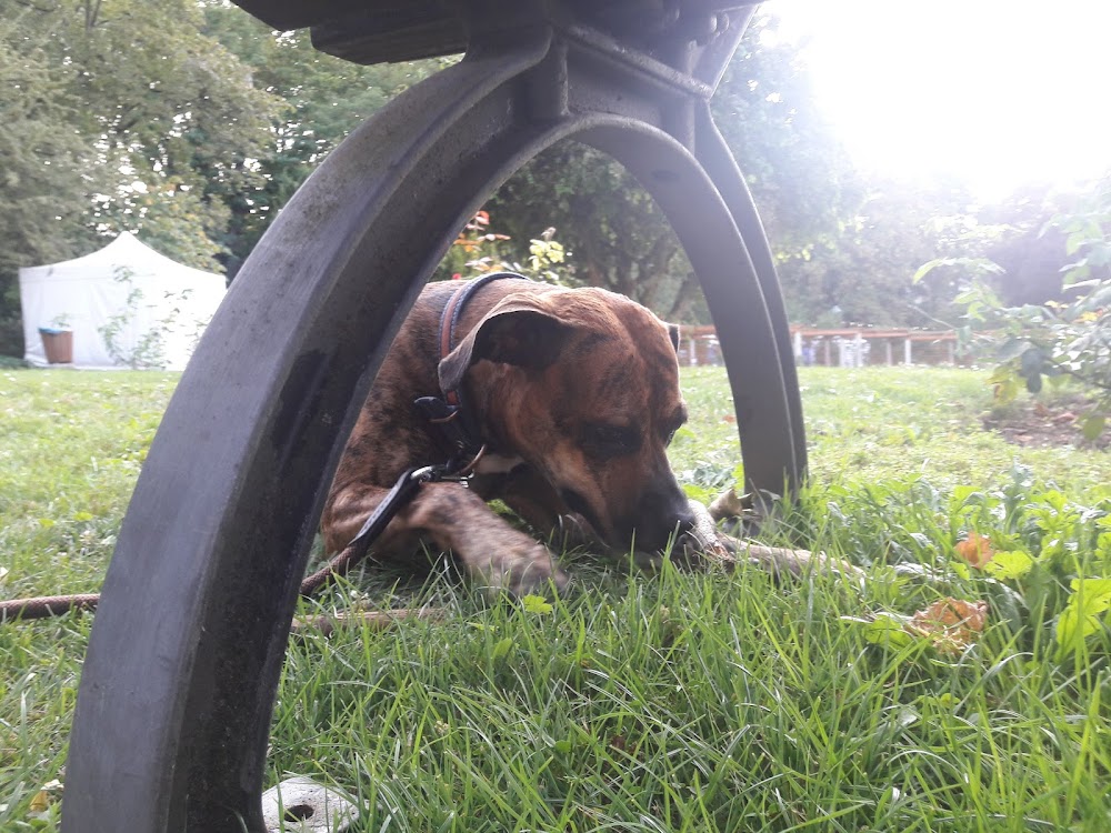 Meenzer Plitsch-Platsch-Platz – Bild 1