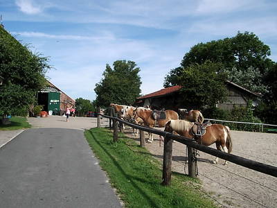 Ferienhof Upwarf – Bild 4