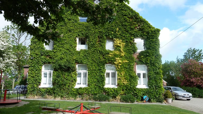 Ferienhof Upwarf – Bild 5