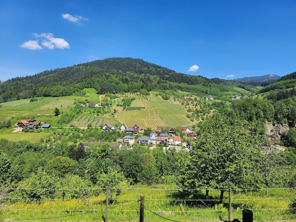 Fiegenhof - Ferien auf dem Bauernhof – Bild 4