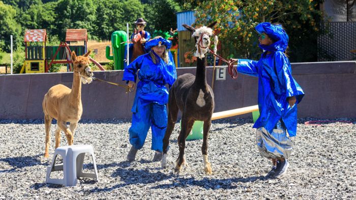 Bauernhof Böblingen – Bild 3