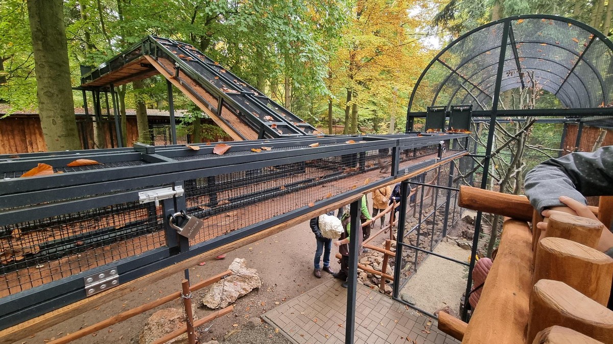 Tierpark Hexentanzplatz – Bild 5