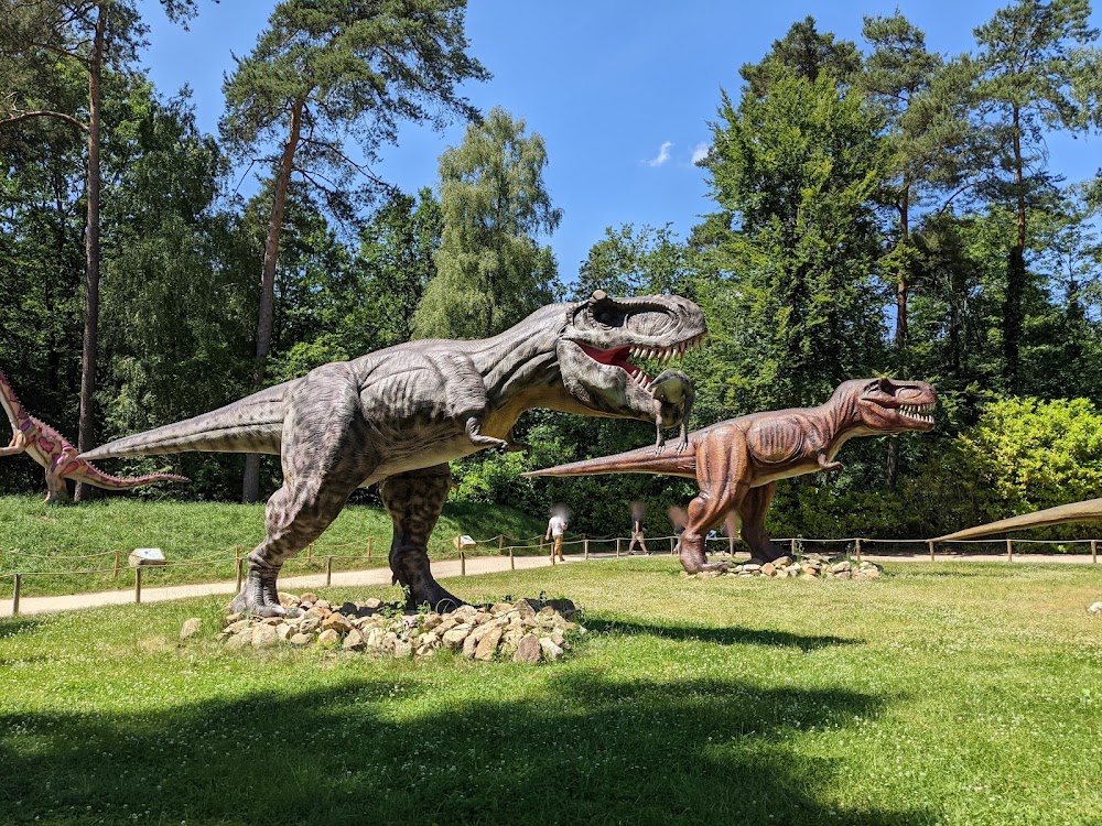 Abenteuer Zoo Metelen GmbH – Bild 2