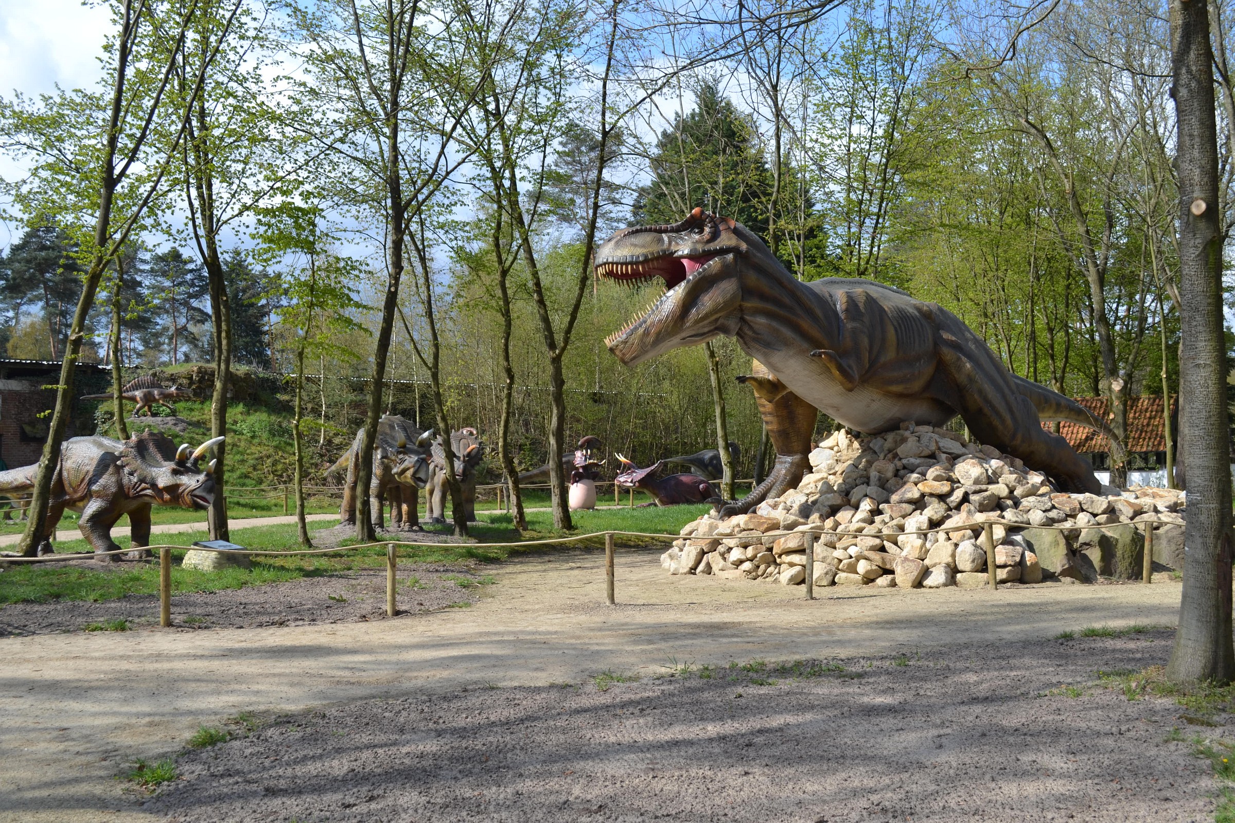 Abenteuer Zoo Metelen GmbH – Bild 3